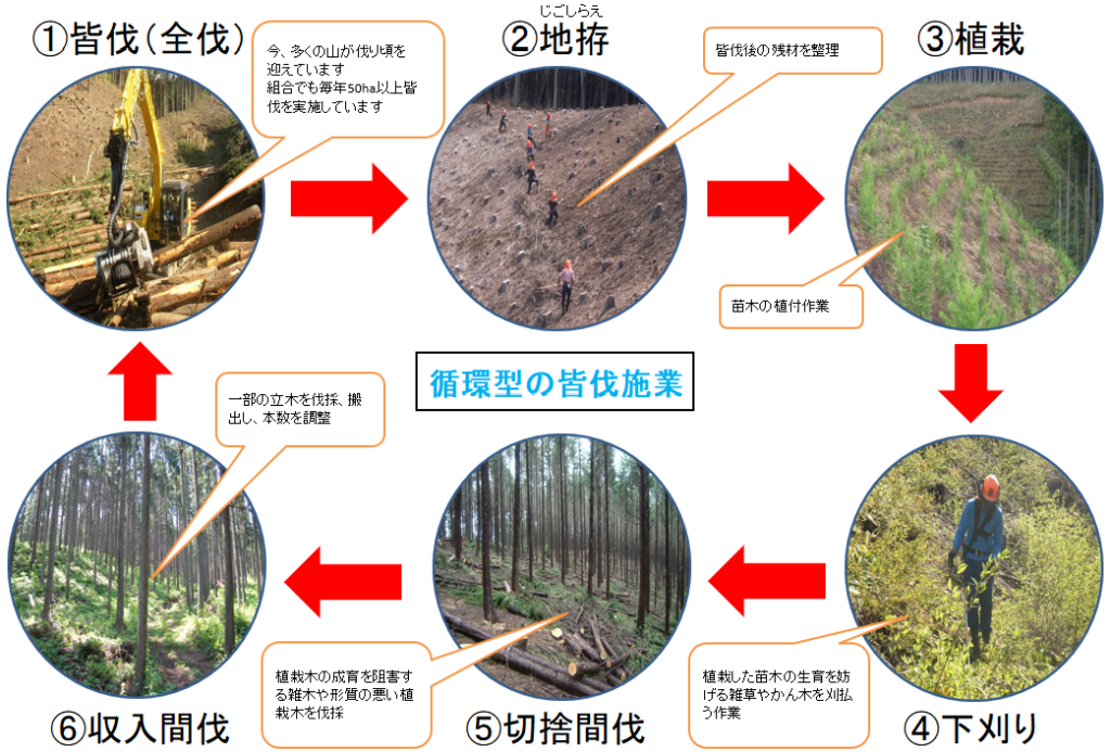 仕事のサイクル